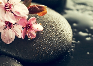 Massage Global Chinois à St Geoirs